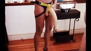 Spyfam